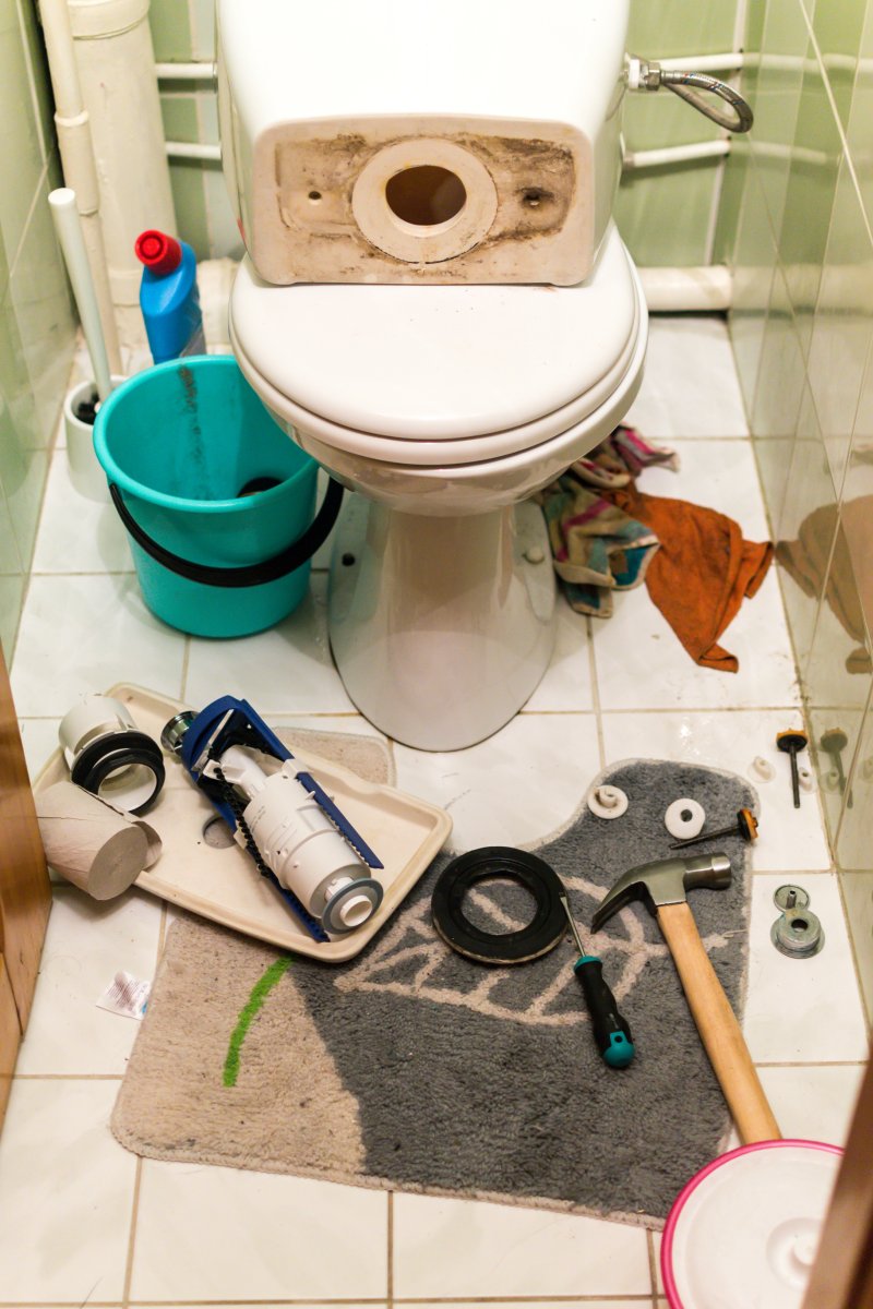 Blocked Toilet Chertsey, Ottershaw, Longcross, KT16